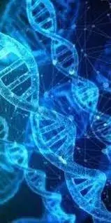 lifex-adn-r Lifex